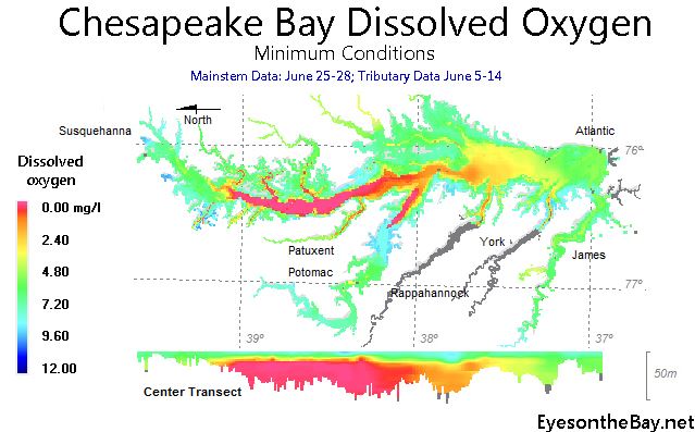 Courtesy EyesontheBay.net/MD DNR