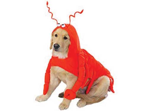 Lobster dog. Courtesy Amazon.com