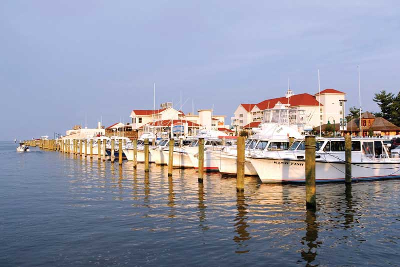 chesapeake beach