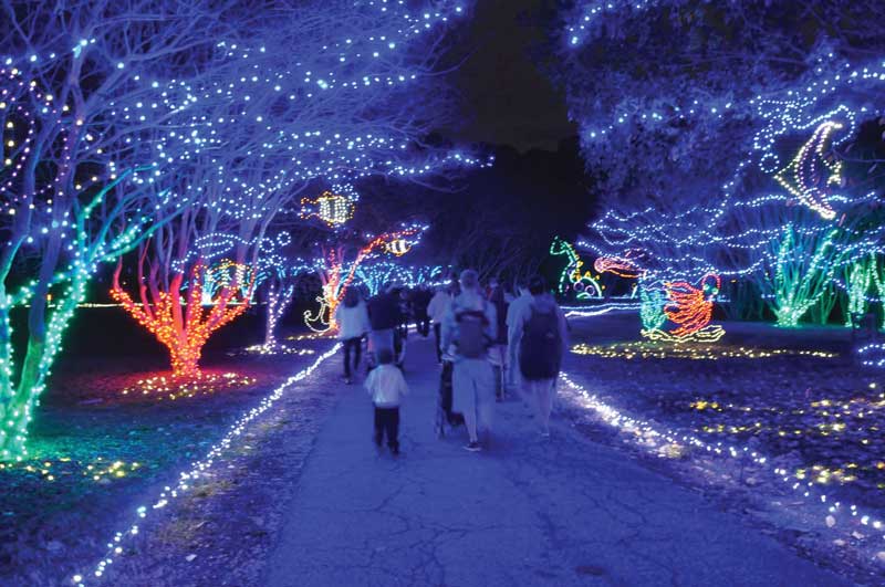 The Million Bulb Walk at Norfolk Botanical Garden. Photo courtesy Norfolk Botanical Garden