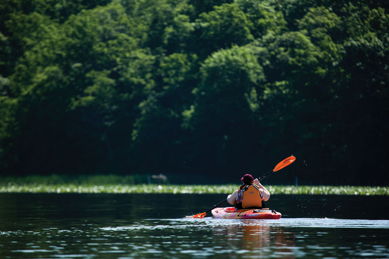 chesapeake national historic trail