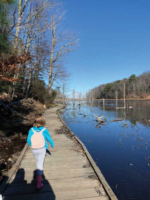 calvert cliffs