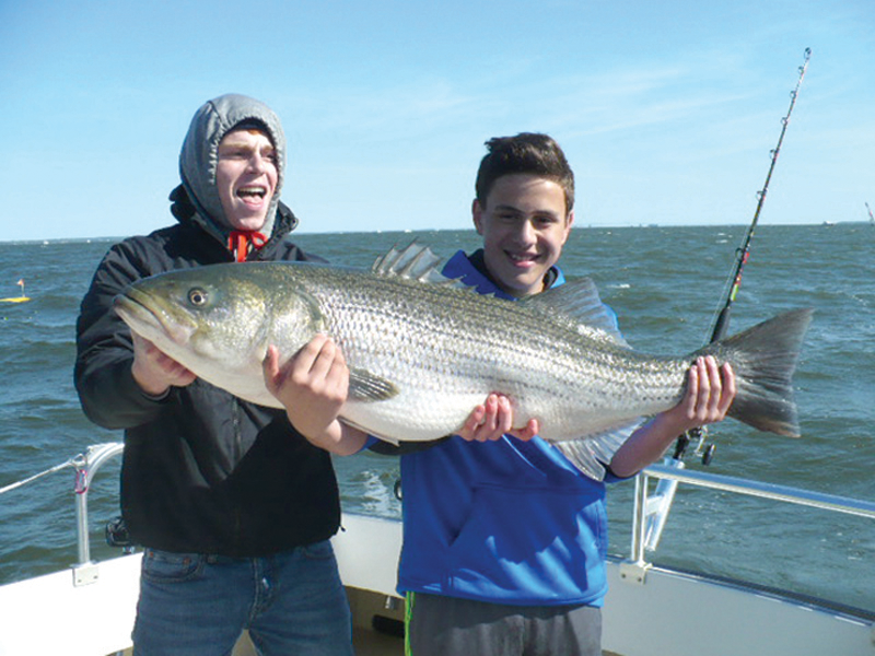 trophy rockfish