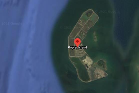 poplar island ecosystem restoration
