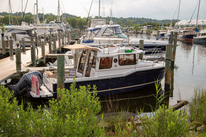 chesapeake bay 