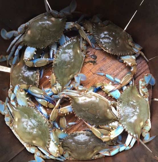 Photo courtesy The Crab King/instagram