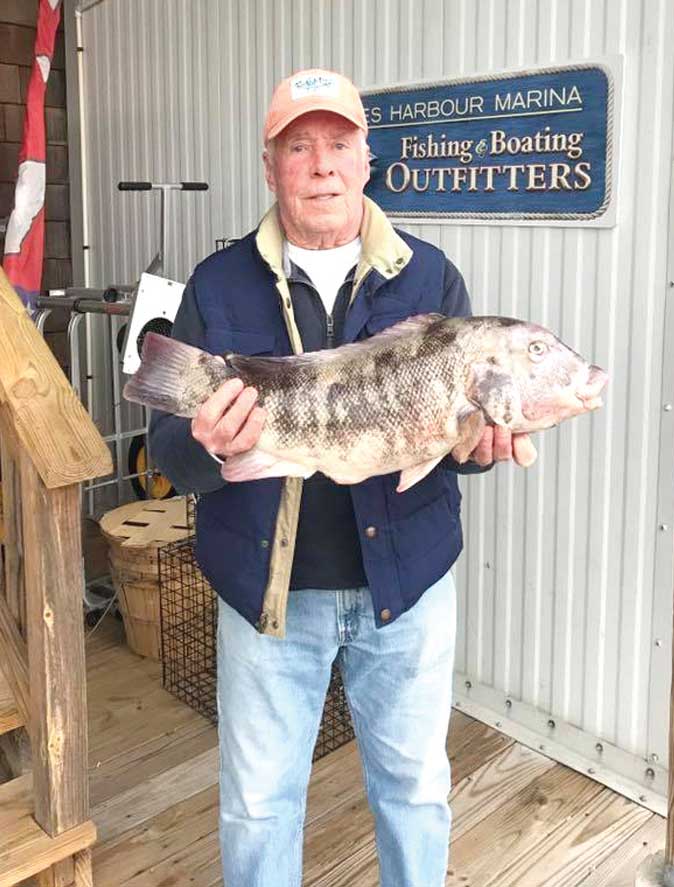 tautog