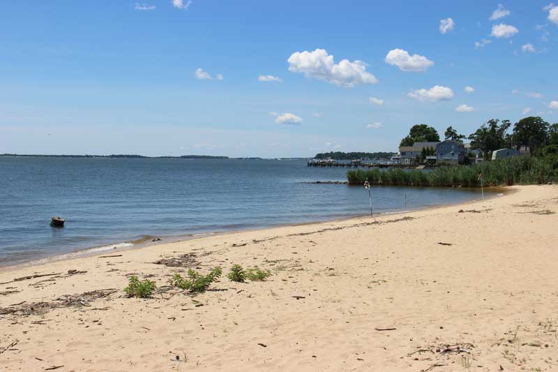 water quality
