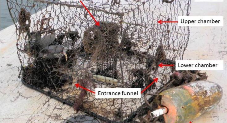 derelict crab pots