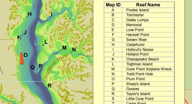 maryland artificial reef