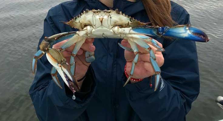 maryland crabbing