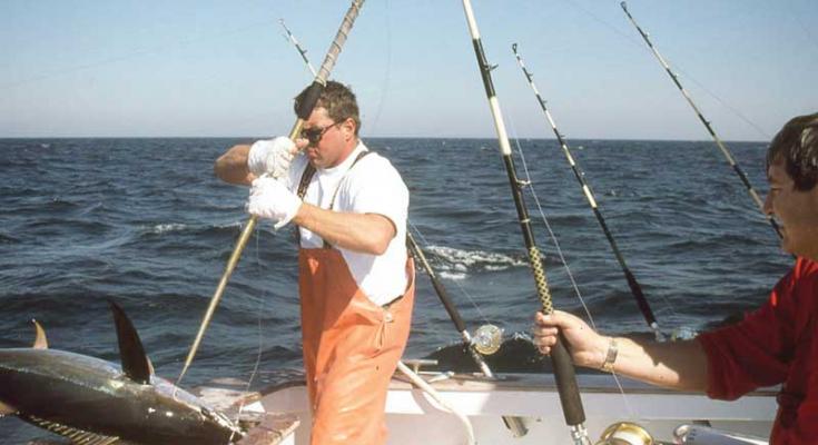 catching tuna
