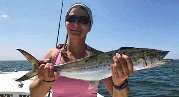 Spanish Mackerel