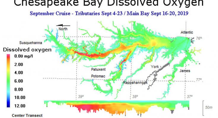 Dissolved Oxygen 
