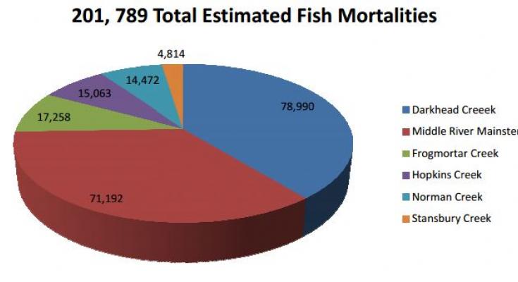 middle river fish kill