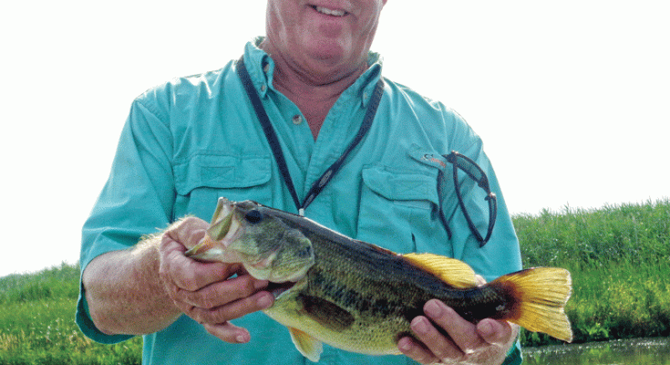 2015 middle river fish kill