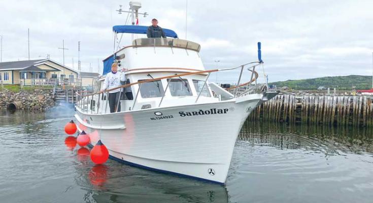 newfoundland