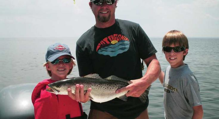 weakfish