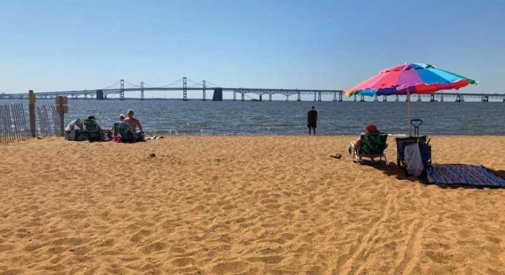 chesapeake bay report card