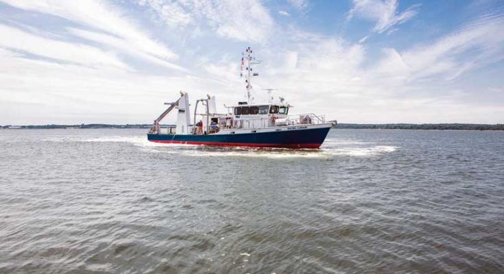 national science foundation