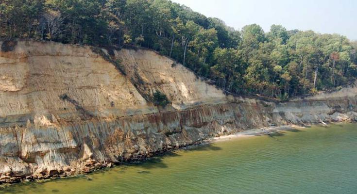 calvert cliffs