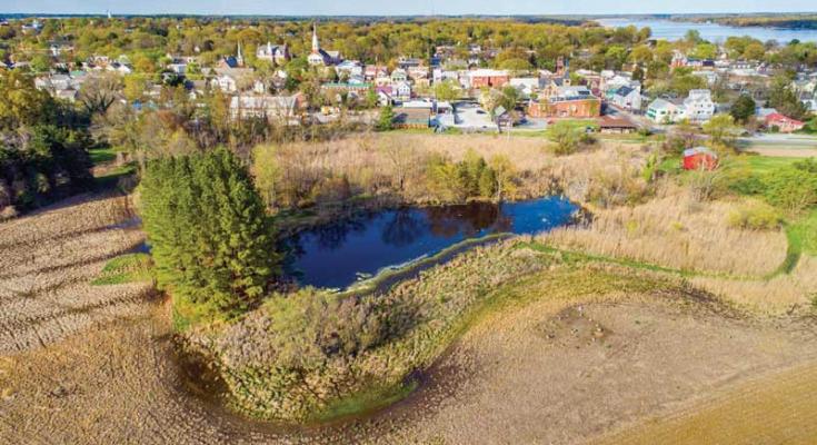 wetlands preserve
