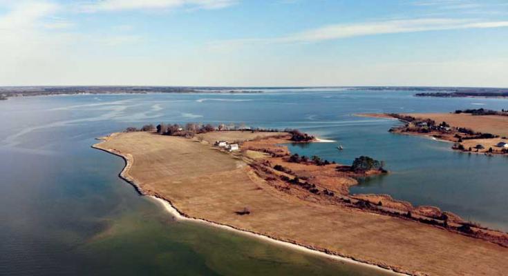 choptank river