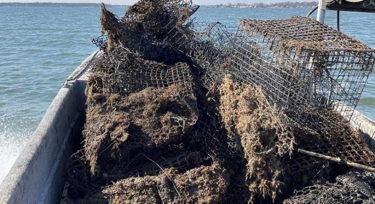 derelict crab pots