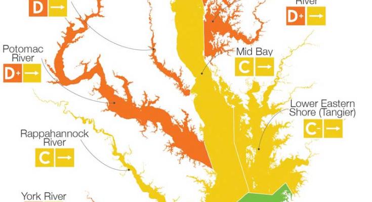 chesapeake bay report card