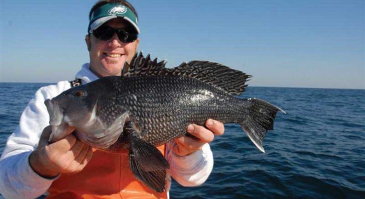 recreational fishing regulations