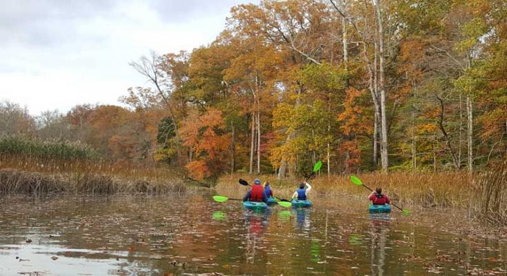 paddle the chesapeake