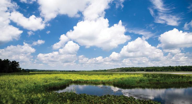 patuxent river