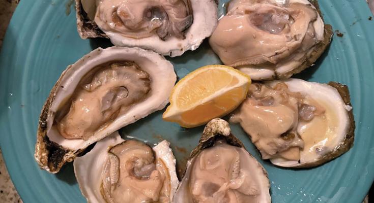 oyster