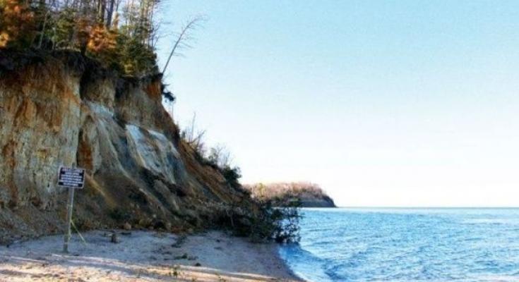 calvert cliffs