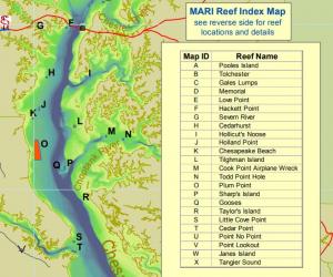 maryland artificial reef