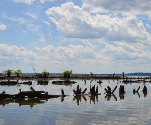 mallows bay