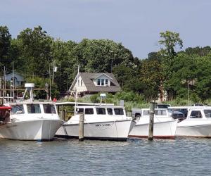 tilghman island
