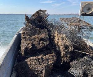 derelict crab pots