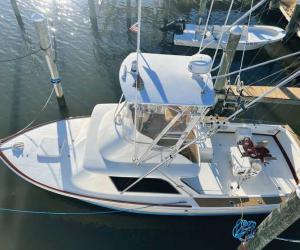 boatshop reports