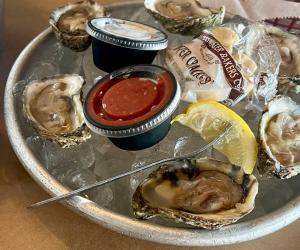 oyster festivals 