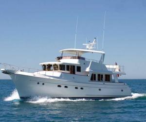 selene 60 