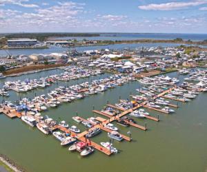 bay bridge boat show