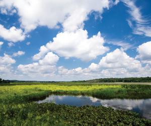 patuxent river
