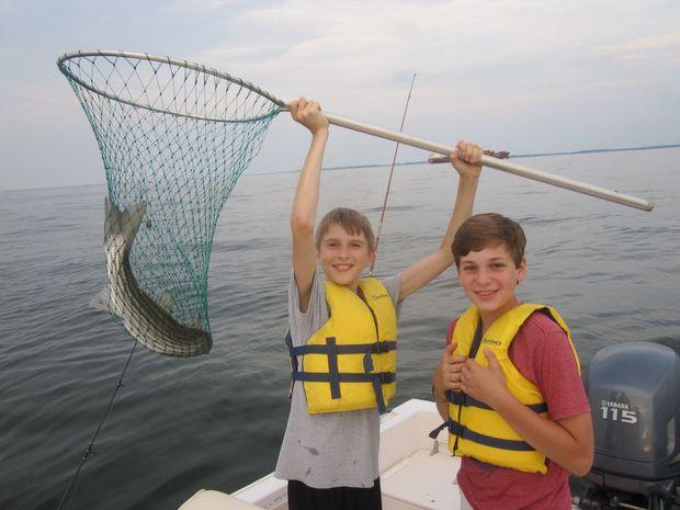 Twelve-year old Mikael Miller (holding net) and his friend Jacob Copley, along with Mikael's mother Linda, all of Annapolis, boated legal stripers to 25" in the upper Bay. Courtesy of Linda Miller