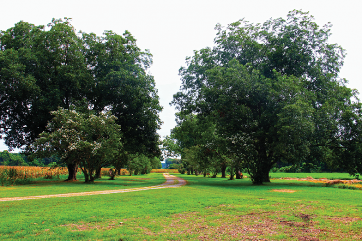 Belle Isle State Park