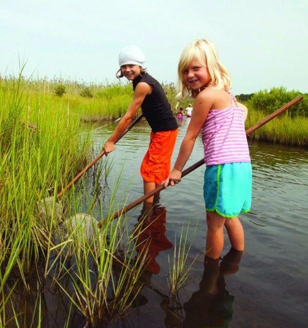 At the Chesapeake Bay Environmental Center, campers get "hands-on and feet-wet" to fully explore the marsh. Photo by Tom Sullivan