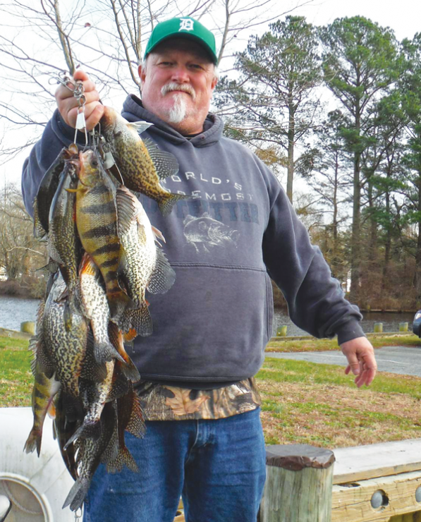 Peter Buesgens from Snow Hill, MD, with a nice brace of winter caught panfish. Photo courtesy of Captain Walt, Light Tackle Charters.