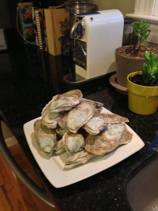 A beautiful plate of Choptank Sweets. Photo by Gary Reich