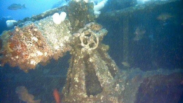 The current position of the gun inside the shipwreck. This gun was a key diagnostic artifact used to identify the wreck as the Conestoga. Photo credit NOAA ONMS/Teledyne SeaBotix. The current position of the gun inside the shipwreck. This gun was a key diagnostic artifact used to identify the wreck as the Conestoga. Photo credit NOAA ONMS/Teledyne SeaBotix.