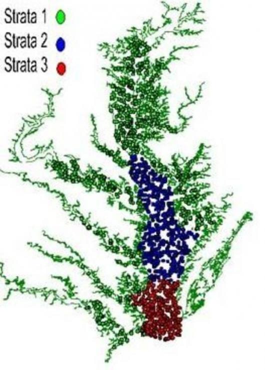 The Bay is divided into 3 regions or strata: Lower Bay, Middle Bay, and Upper Bay/Tributaries. Each year, a total of 1500 sites in waters deeper than 5 feet are randomly selected. The Bay is divided into 3 regions or strata: Lower Bay, Middle Bay, and Upper Bay/Tributaries. Each year, a total of 1500 sites in waters deeper than 5 feet are randomly selected.